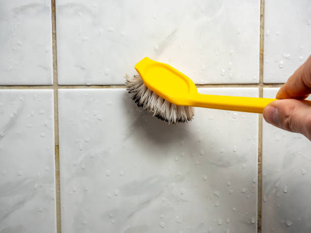 Best Commercial Mold Removal  in Brookfield, IL